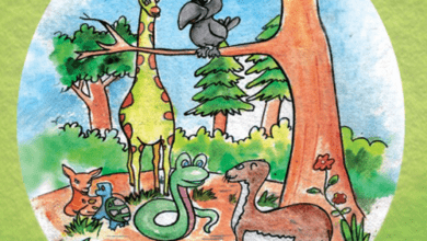 قصه کودکانه راه جنگل