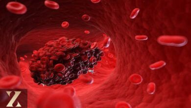 خون اینگونه عمل می کند