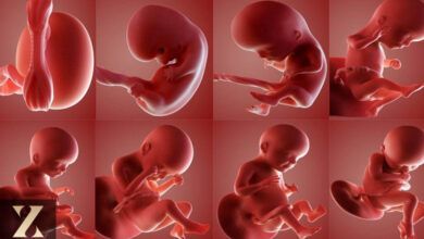 آزمایش های پیشرفته در دوران بارداری