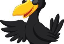 قصه کلاغی که دوست داشت عقاب باشه